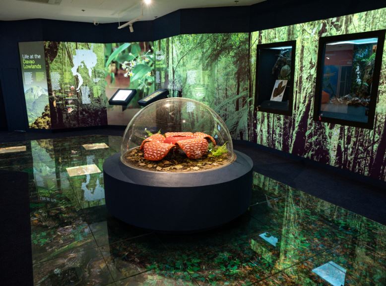 Museo Dabawenyo